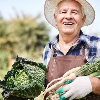 El texto alcanza para esto y un poco más